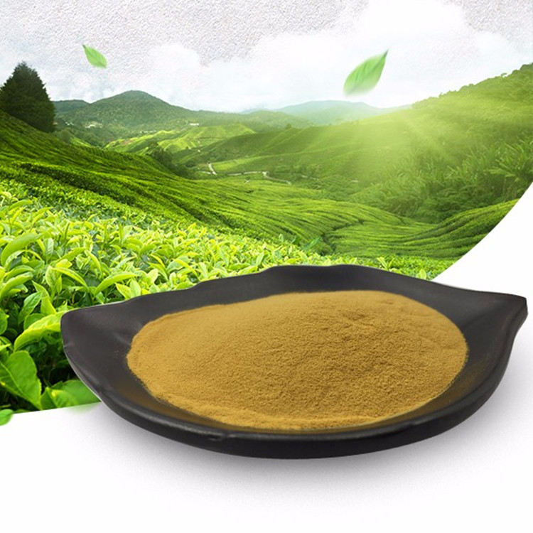 Instant Green Tea Powder