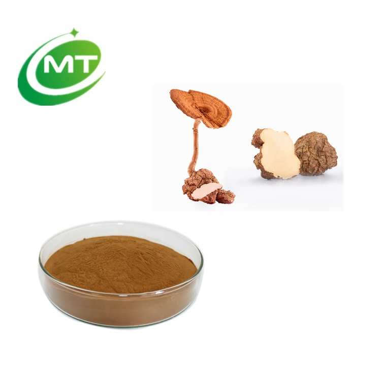 Tiger Milk Mushroom Extract