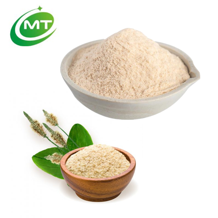 Psyllium Husk Powder