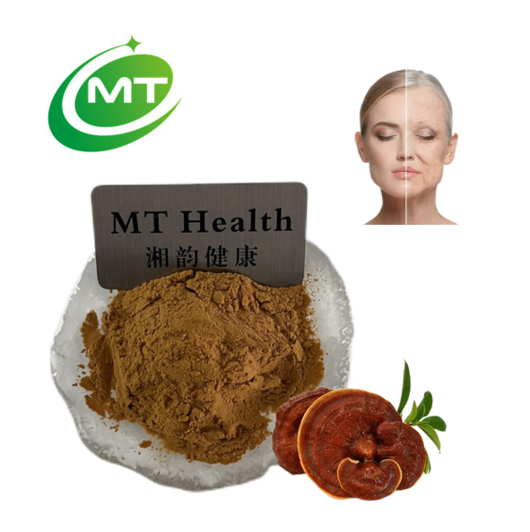 Mushroom Extract Powder