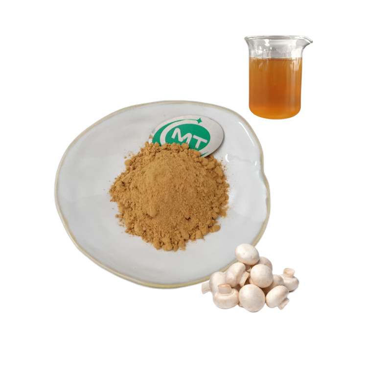 Agaricus Bisporus Extract