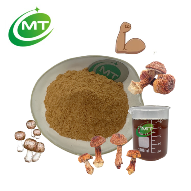 Agaricus Blazei Extract