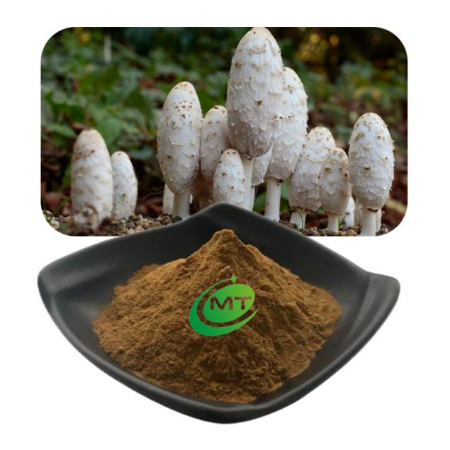 Coprinus Extract