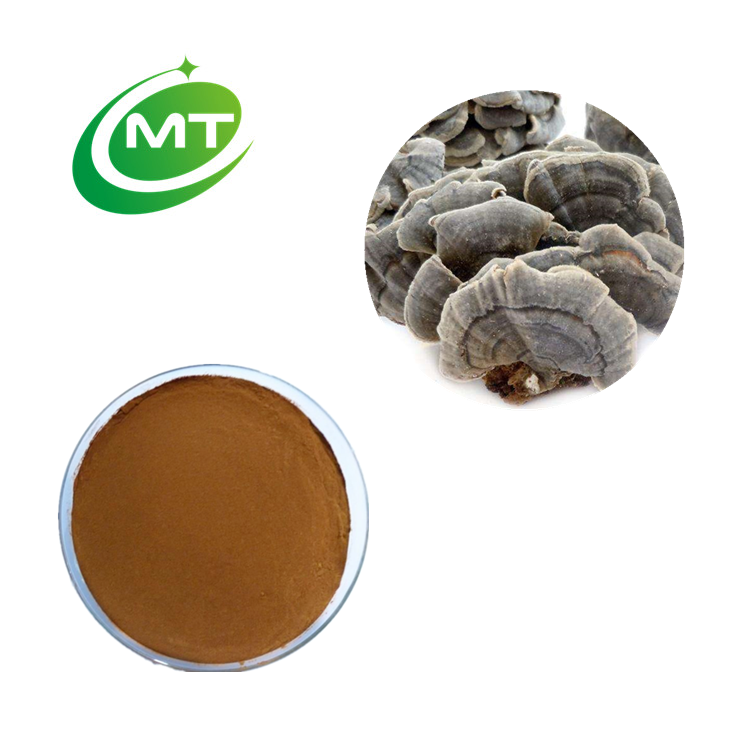 Yunzhi Extract