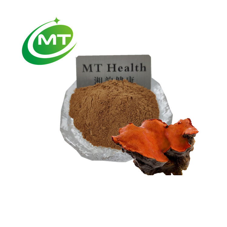 Antrodia camphorata Extract