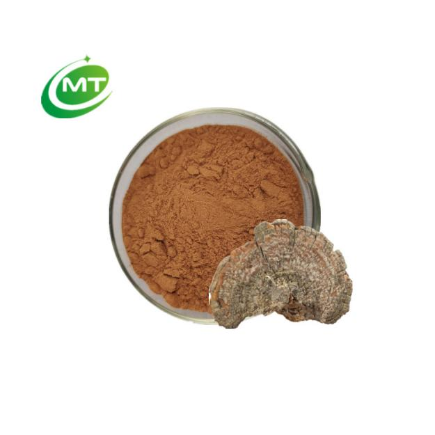 Huaier Mushroom Extract