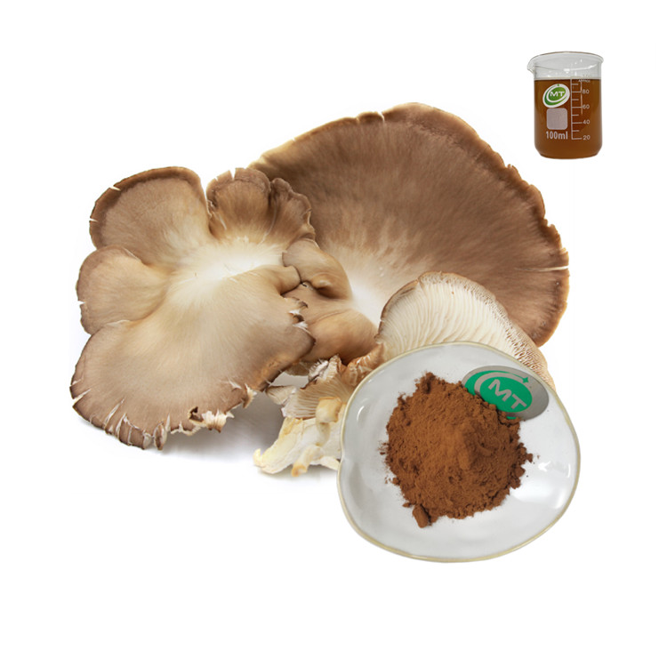 Oyster Mushroom Extract