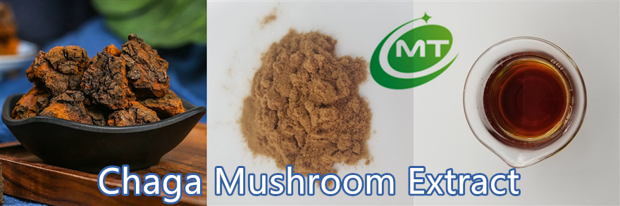 Chaga Mushroom Powder