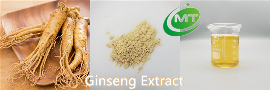 Ginseng Extract