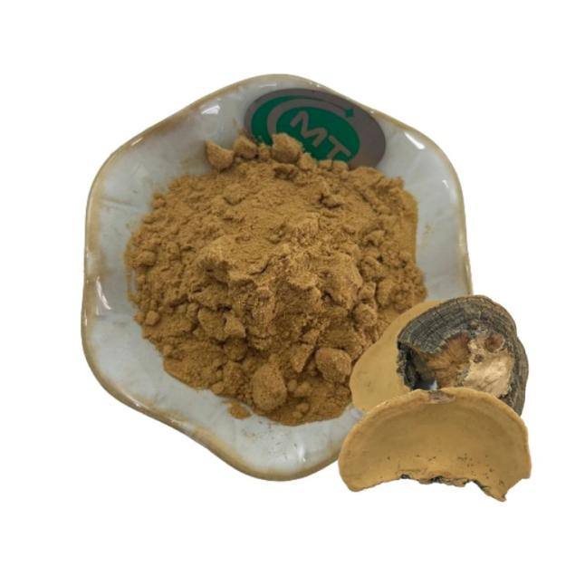 Phellinus Igniarius Extract