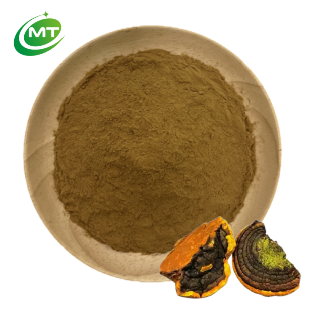 Phellinus Linteus Extract