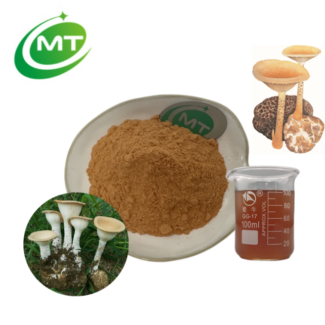 King Tuber Mushroom Extract