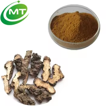 Polyporus Umbellatus Extract